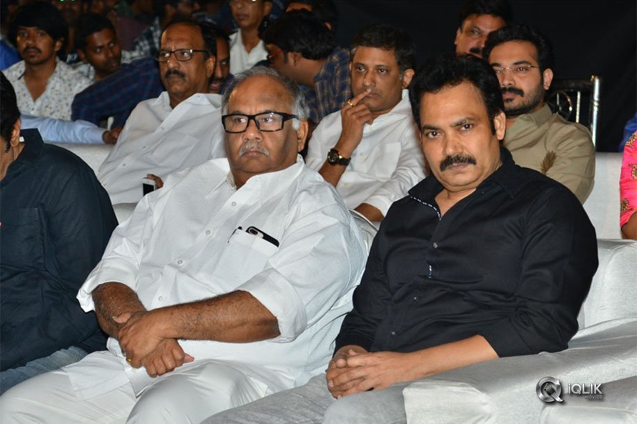 Chal-Mohan-Ranga-Pre-Release-Function-Photos